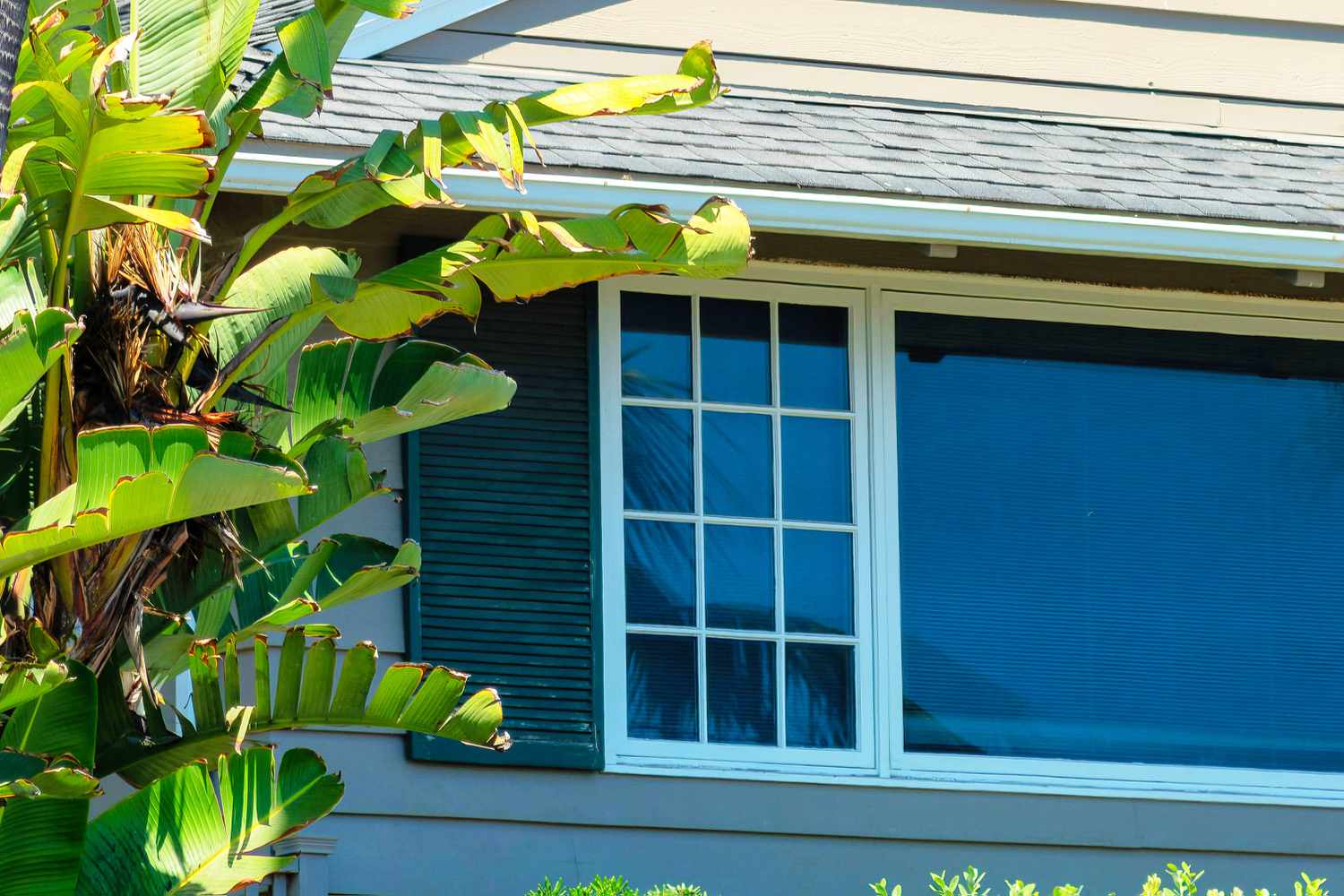 The Ultimate Guide to Choosing Hurricane-Resistant Windows